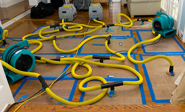 Professional Storm Water Damage Restoration technician working in Cape Coral, FL
